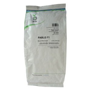 SEMILLA REMOLACHA PABLO BEJO x 25.000 Un.