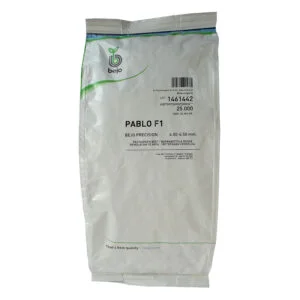 SEMILLA REMOLACHA PABLO BEJO x 25.000 Un.