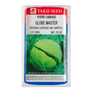 SEMILLA REPOLLO BLANCO GLOB MASTER x 25 Grs.