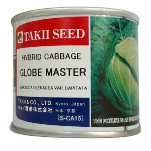 SEMILLA REPOLLO BLANCO GLOB MASTER x 100 Grs.