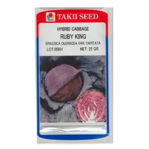 SEMILLA REPOLLO MORADO RUBY KING x 25 Grs.