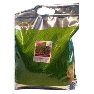 SEMILLA RÚCULA  x 1 Kg.