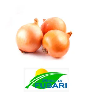 cebolla VALCATORCE INTA CAPS Lta. 1 Lb.
