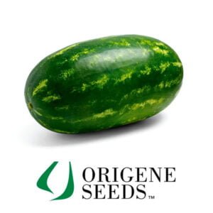 SEMILLA SANDÍA LAVALLE x 1.000 Un.