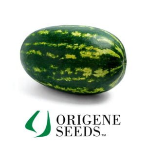 SEMILLA SANDÍA MONY x 1.000 Un.