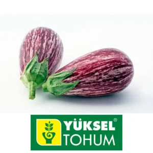 SEMILLA BERENJENA RAYADA VIOLETA x 1.000 Un.