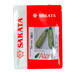 SEMILLA CALABACÍN ALANIS SAKATA x 1.000 Un.