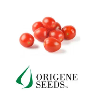 SEMILLA TOMATE CHERRY ROJO x 1.000 Un.