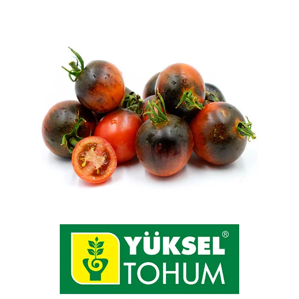 SEMILLA TOMATE CHERRY CHOCOLATE GRAPE x 1.000 Un.