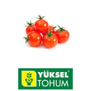 SEMILLA TOMATE CHERRY ROJO GRAPE x 1.000 Un.