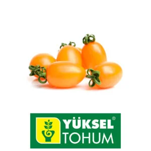SEMILLA TOMATE CHERRY NARANJA GRAPE x 1.000 Un.