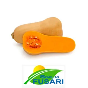 BUTTERNUT WALTHAM BON Lta. 1 Lb.