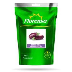 SEMILLA BERENJENA REINA F1 RAYADA x 1.000 Un.