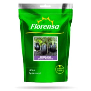 SEMILLA BERENJENA FLORIDA MARKET x 1 Lb.