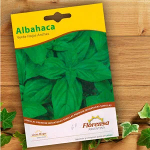 SEMILLA ALBAHACA GENOVESE GIGANTE x 1 Kg.