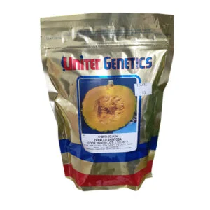 SEMILLA ZAPALLO SHINTOSHA UNITED GENETICS  x 300 Grs.