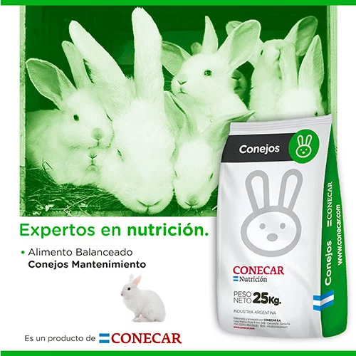 ALIMENTO BALANCEADO CONEJO MANTENIMIENTO x 25 Kg.