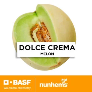 SEMILLA MELÓN DOLCE CREMA F1 x 1.000 Unid.