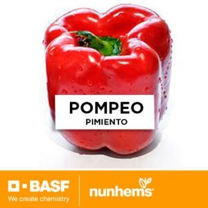 SEMILLA PIMIENTO POMPEO F1 x 1.000 Unid.