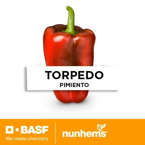 SEMILLA PIMIENTO TORPEDO F1 x 1.000 Unid.
