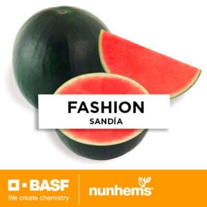 SEMILLA SANDÍA FASHION F1 x 1.000 Unid.