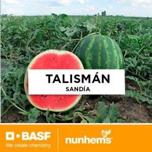 SEMILLA SANDÍA TALISMÁN F1 x 1.000 Unid.