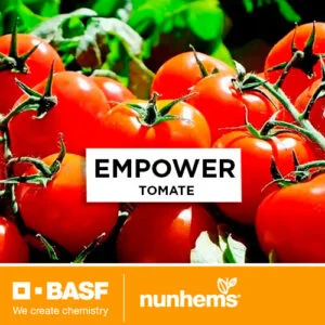 SEMILLA TOMATE EMPOWER F1 x 1.000 Un.