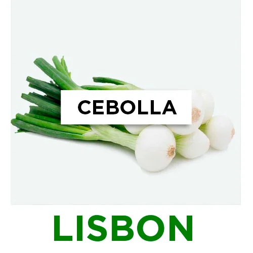 SEMILLA CEBOLLA DE VERDEO WHITE LISBON x 500 Gr.