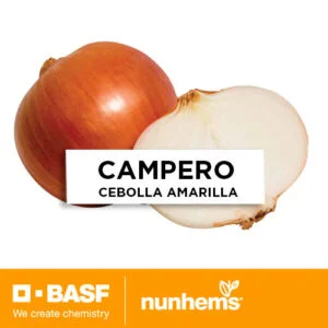 SEMILLA CEBOLLA  CAMPERO PELLET x 500.000