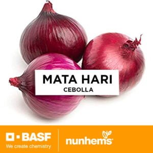 SEMILLA CEBOLLA ROJA MATA HARI x 100.000 Un.