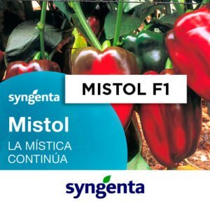 SEMILLA PIMIENTO MISTOL F1 x 1000 Un.