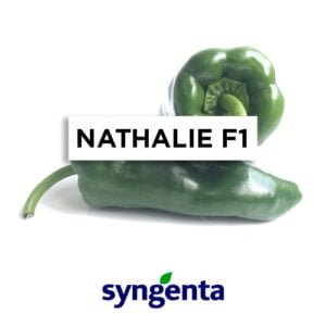 SEMILLA PIMIENTO NATHALIE F1 x 2000 Un.