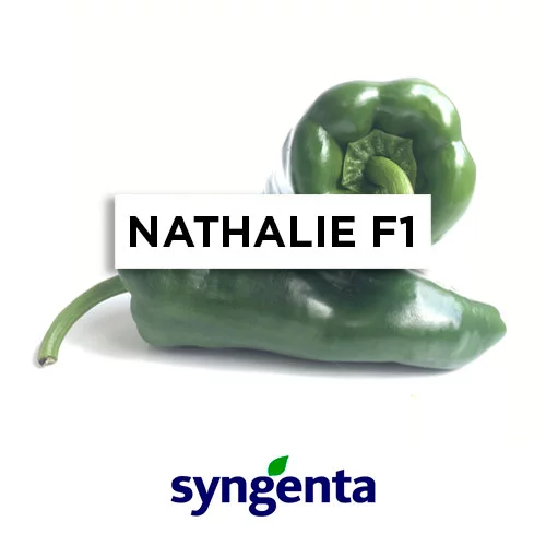 SEMILLA PIMIENTO NATHALIE F1 x 2000 Un.