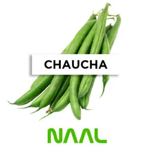 POROTO ENANO MENDOZA (CHAUCHA) x 5kg