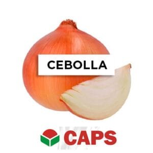 SEMILLA CEBOLLA HÍBRIDA COLORADA F1 FABULA x 100.000 Un .