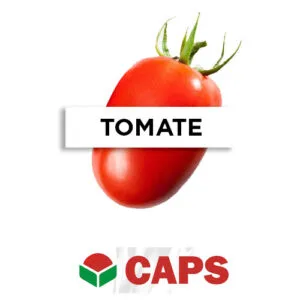 SEMILLA TOMATE DET PERA F1 ALADINO x 1.000 Un.