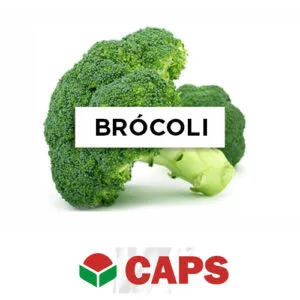 SEMILLA BRÓCOLI DE CICCO x 500 Gr.