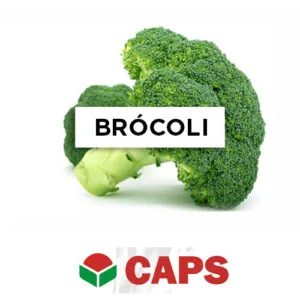 SEMILLA BRÓCOLI HÍBRIDO F1 ATX 3051 x 25 Gr.