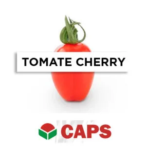 SEMILLA TOMATE CHERRY F1 SUMMER SUN x 1.000 Un.