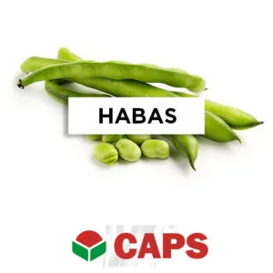 SEMILLA HABAS SUPER AGUADULCE x 20 Kg.