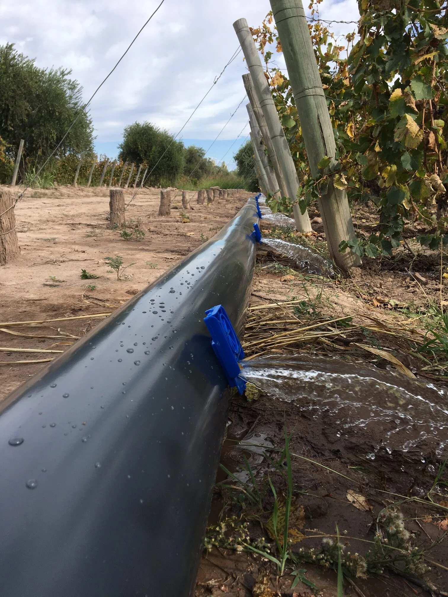 COMPUERTAS 30mm PARA RIEGO