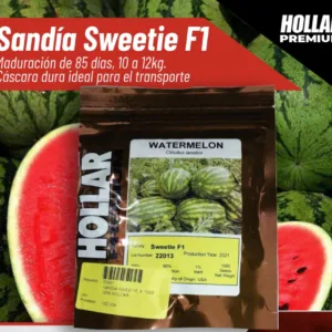 F1-SWEETIE Redonda gigante muy productiva HOLLAR Sobre 1.000 S.