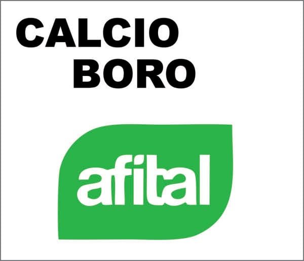 AFITAL CALCIO-BORO x1lts